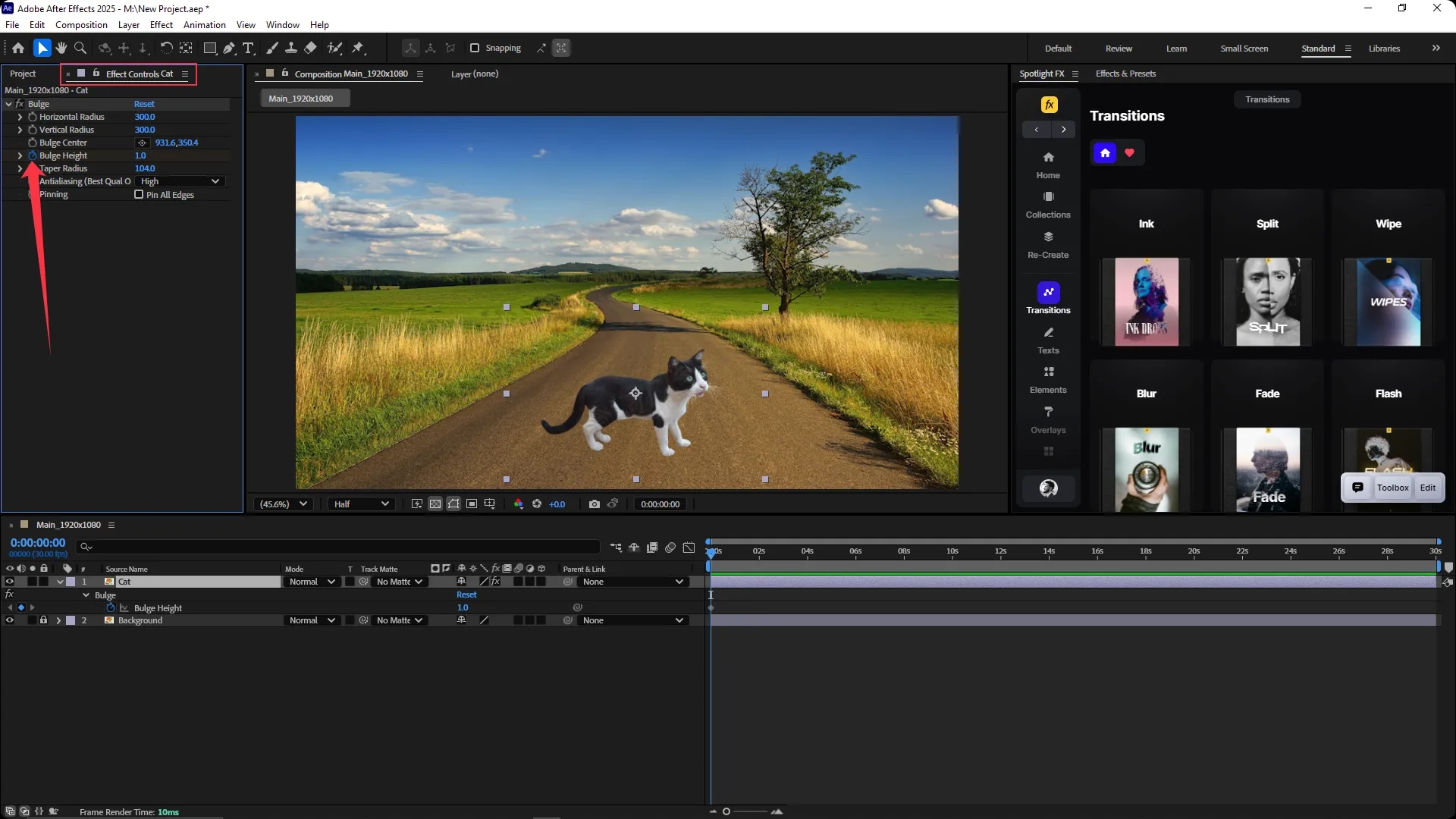 Adobe After Effects interface with the Effect Controls panel open showing Bulge effect settings applied to a cat image layer, including Horizontal Radius, Vertical Radius, Bulge Center, and Bulge Height.