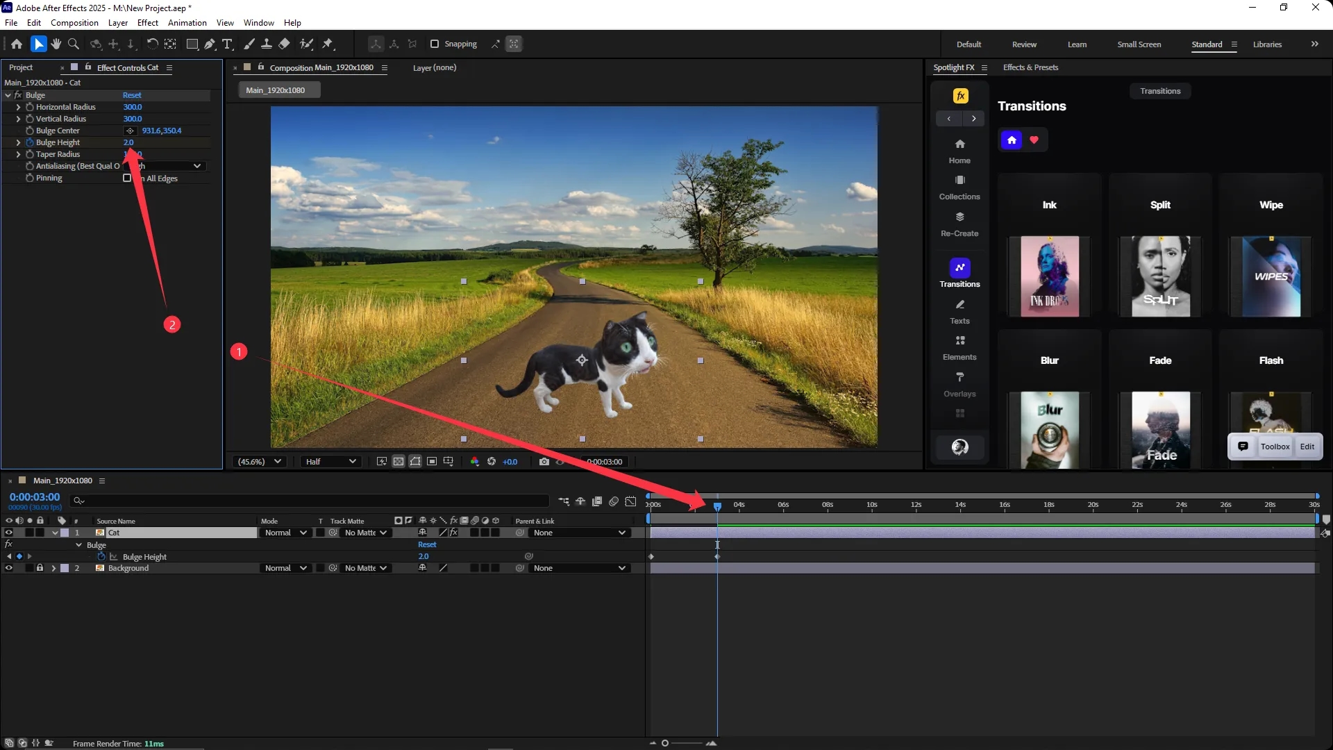 Adobe After Effects interface with the Bulge effect applied to a cat image, showing the Bulge Height value increased to 2.0 in the Effect Controls panel and a keyframe added at the 3-second mark in the timeline.