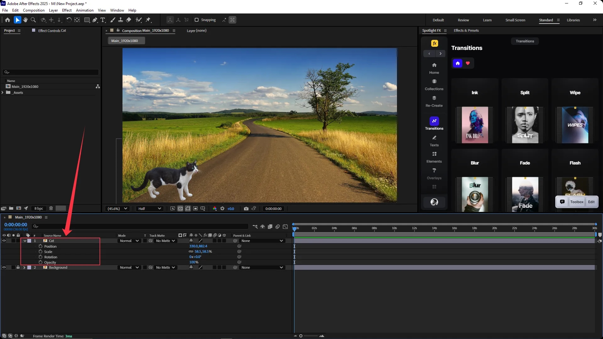 Adobe After Effects interface showing a composition with a cat image on a road background, with the timeline panel open and the "Cat" layer's transform properties (Position, Scale, Rotation, Opacity) expanded.