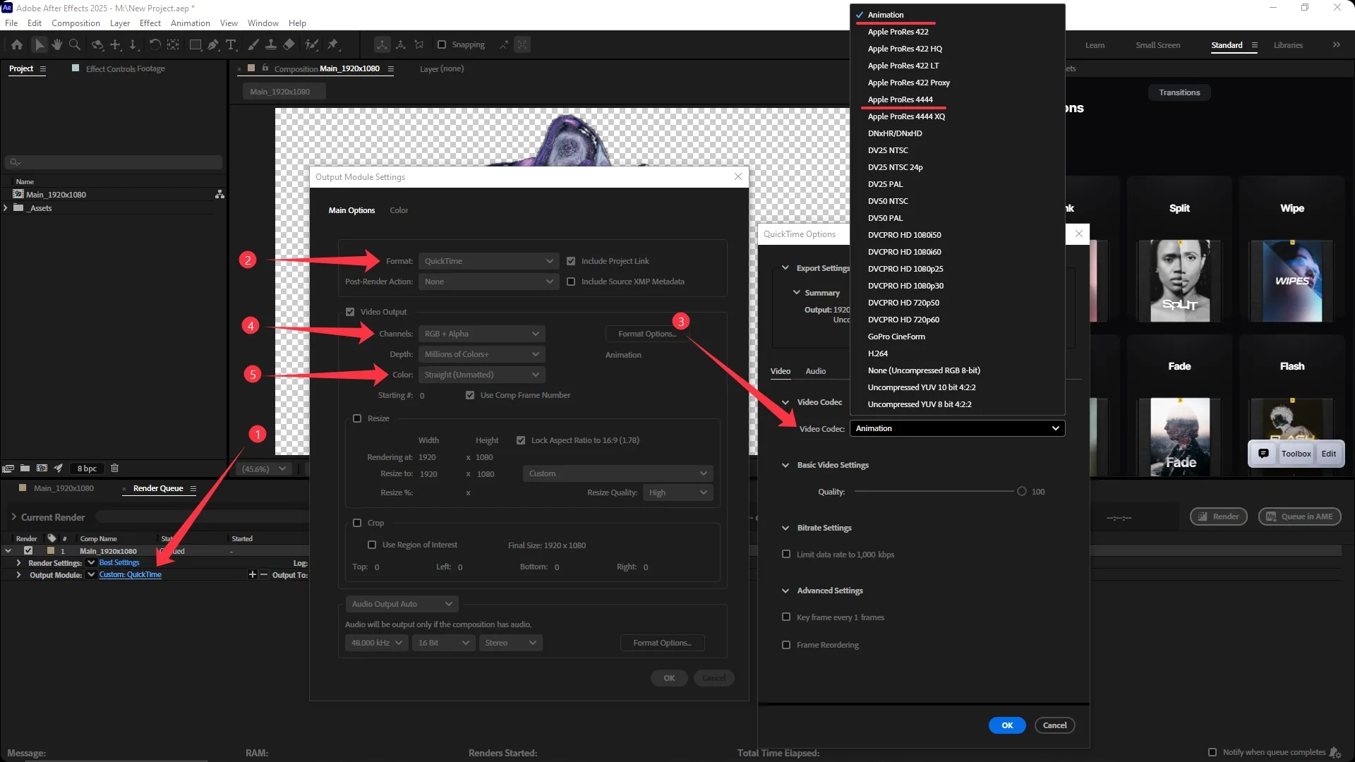 Adobe After Effects render queue with Output Module Settings window open showing QuickTime format, RGB + Alpha channels, Millions of Colors+ depth, and Animation codec selected for transparency support.