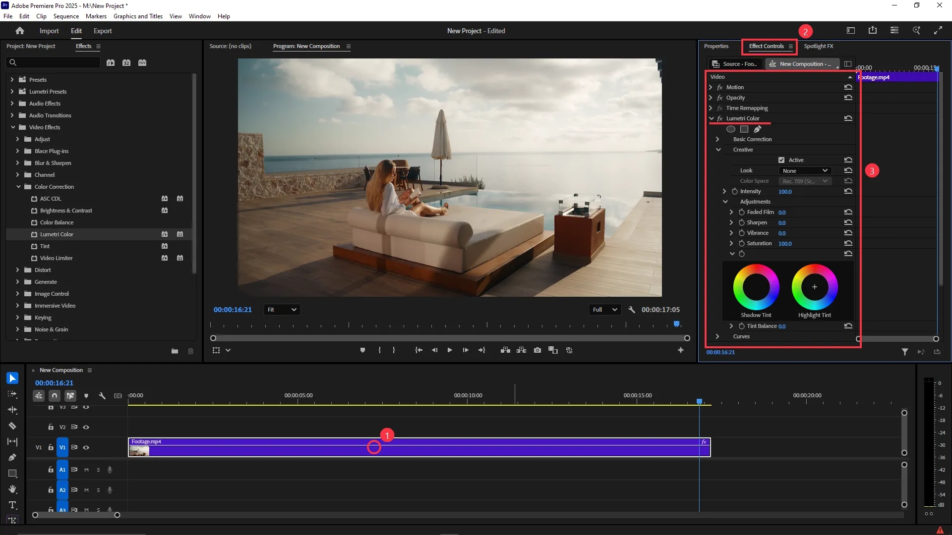 The Effect Controls panel is open showing Lumetri Color settings applied to a selected video clip in the timeline, with options like Basic Correction, Creative adjustments, and color wheels.