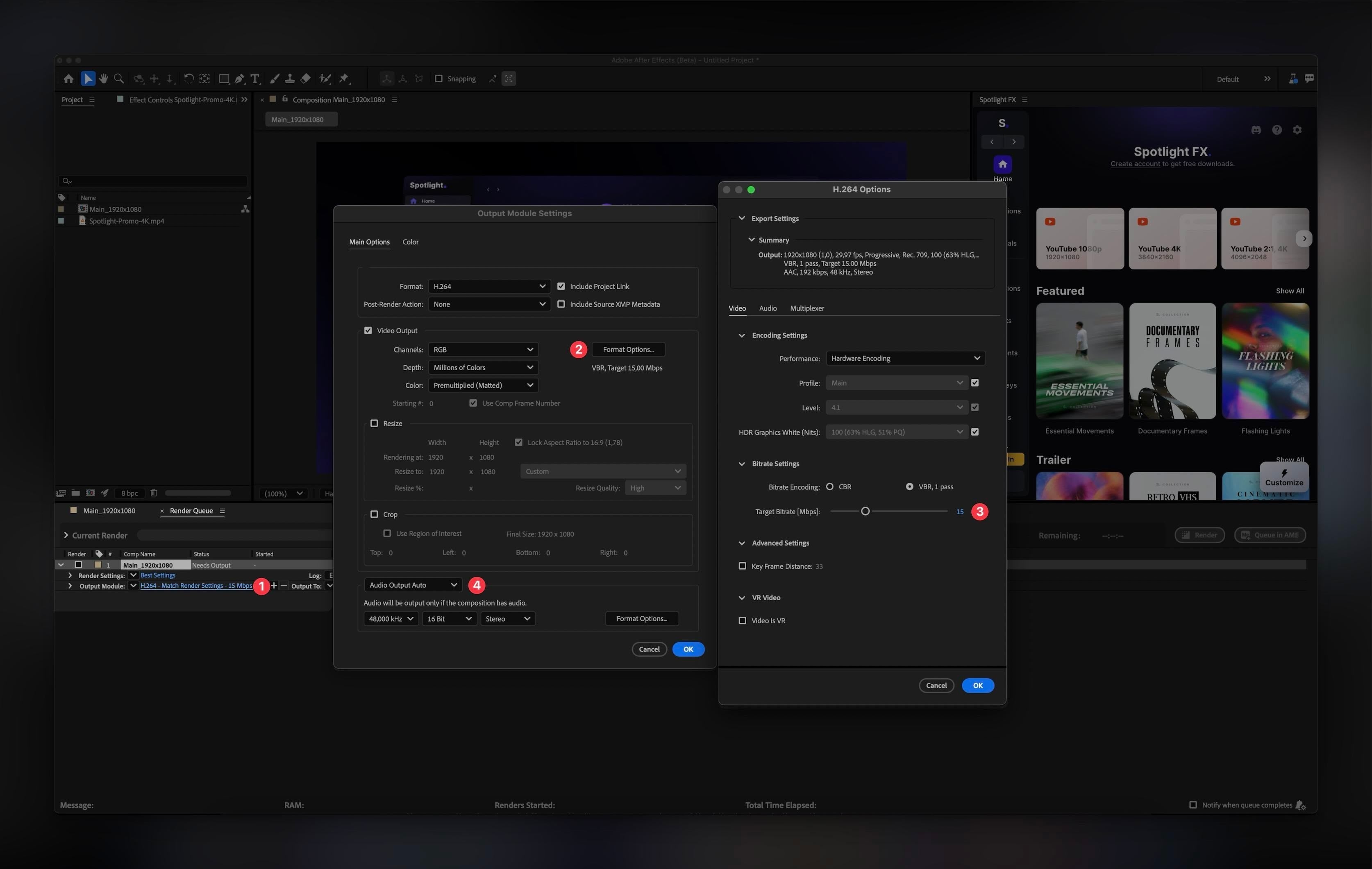 Selecting output format and quality settings