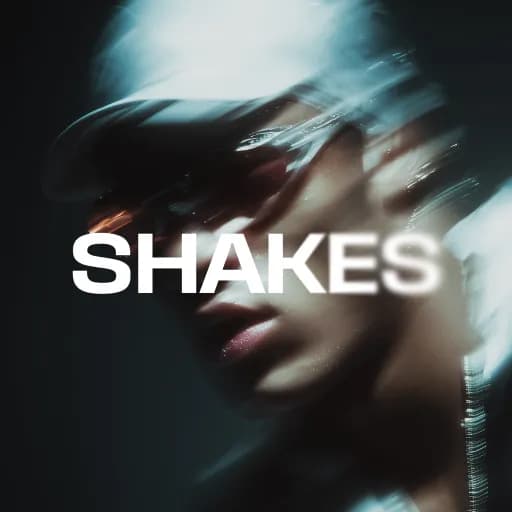 Camera Shake Effects