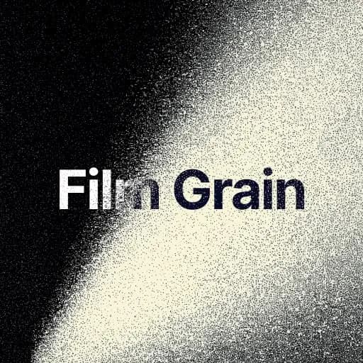 Film Grain Overlays