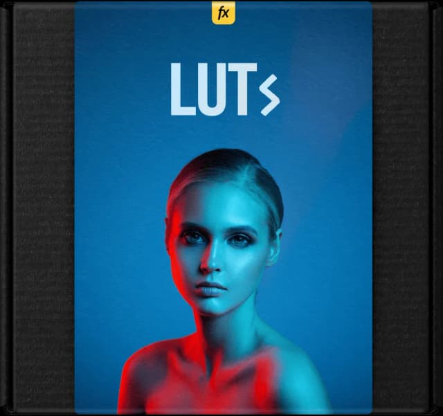 LUTs
