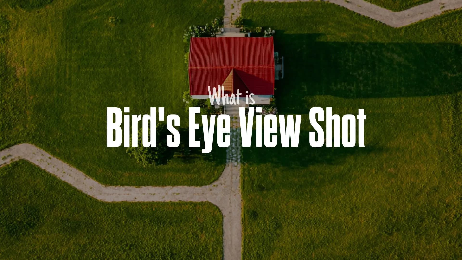 What is a Bird's Eye View Shot? (And How It Differs from an Overhead Shot)