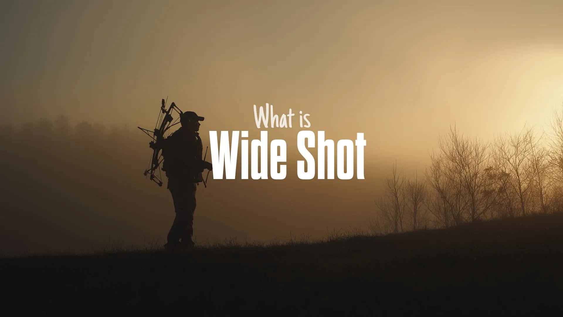 What Is a Wide Shot? Explained With Examples and Use Cases