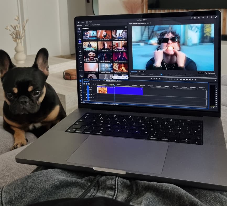 Video editing on a laptop with a dog beside it