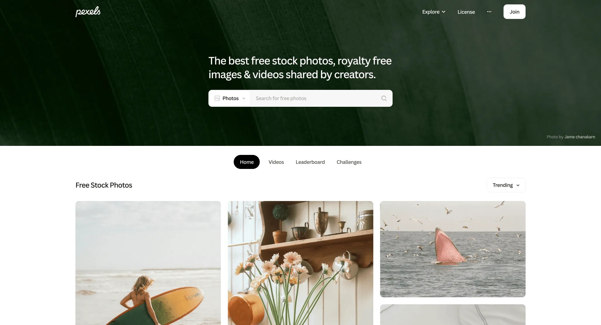 Pexels - Free Stock Photos, Royalty Free Stock Images Copyright Free Pictures